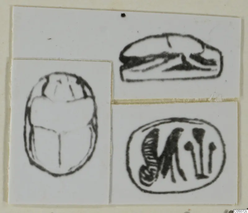 Ink drawings of three seals: two scarabs, one seen from above and one from the side, and an oval seal with carved signs