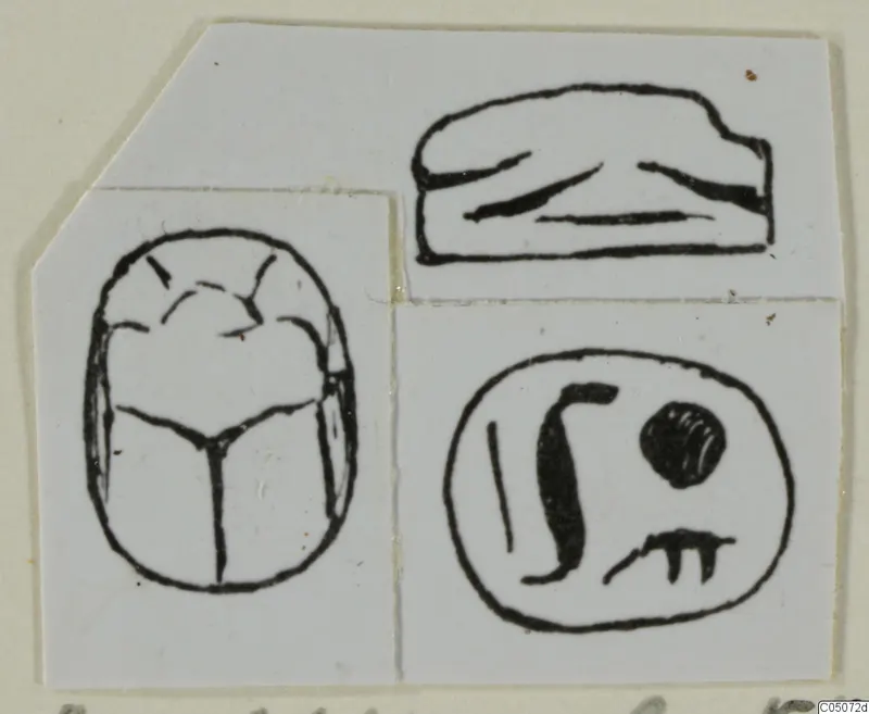 Drawing of a scarab seal from Ayia Irini, showing the beetle back, the flat base and the engraved seal face in ink.