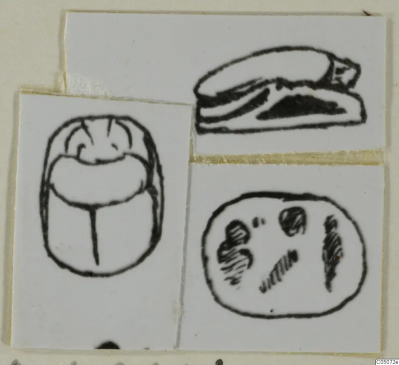 Line drawing of a scarab seal and a seal impression, with a side view of a recumbent figure, on paper cards.