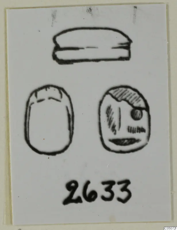 Drawing of a scarab seal in three views: side profile, plain back and decorated base