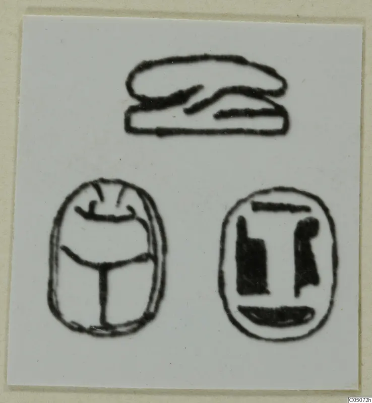 Drawing of three seal designs: a flat shape above, a scarab beetle at lower left and an oval design with dark marks at lower right.