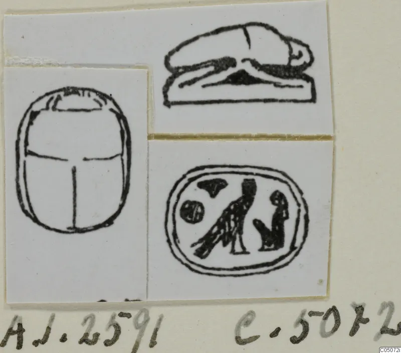 Drawings of a scarab seal from Ayia Irini: back view, base view and engraved seal face, mounted on a card