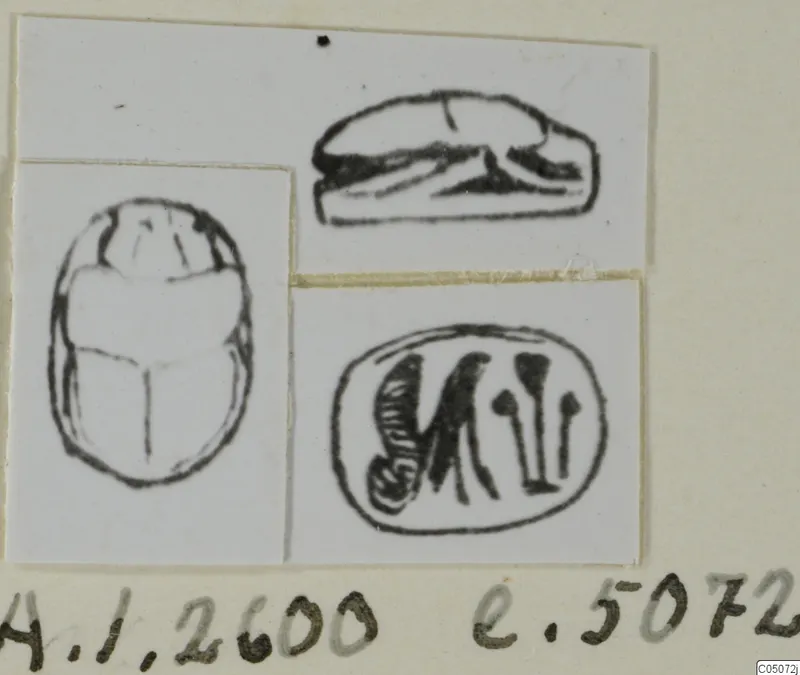 Drawings of a scarab seal from three views: its back, its side profile and its flat base with incised signs.