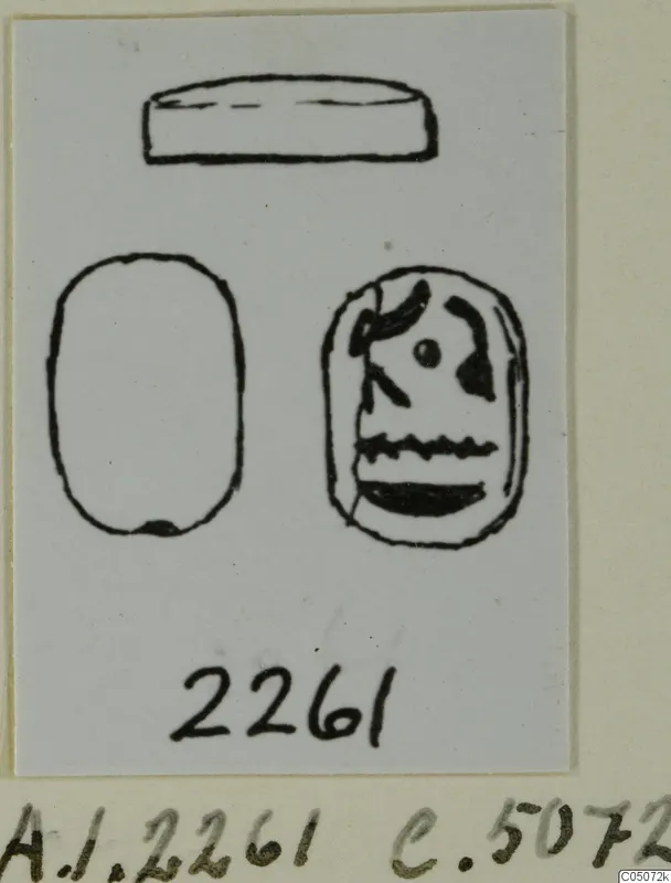 Drawing of a scarab seal in three views: flat top, plain base and engraved base, on a card with a number label