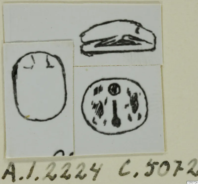 Drawing of a scarab seal in three views, pasted on white card