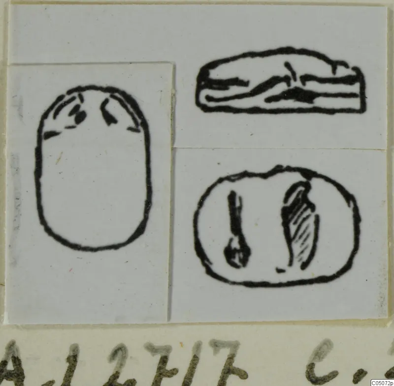 Ink drawings of a scarab seal from Ayia Irini, showing its oval base and side views.