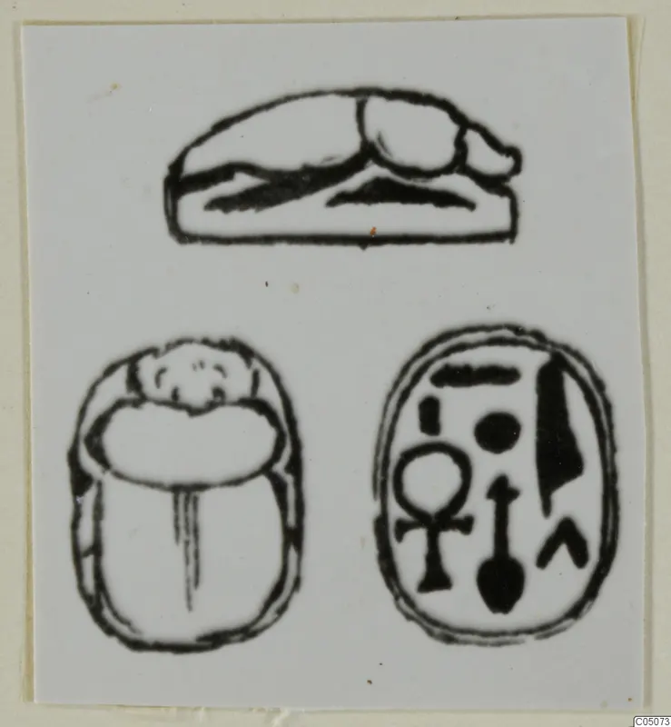 Line drawing of a scarab in three views: side view, back, and the oval base with carved signs