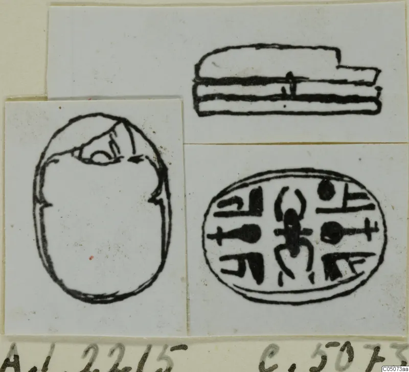 Ink drawing of a scarab from Ayia Irini, showing its back, side profile and carved base