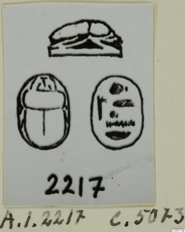 Drawing of a scarab seal in three views: side profile, beetle back, and base with incised marks