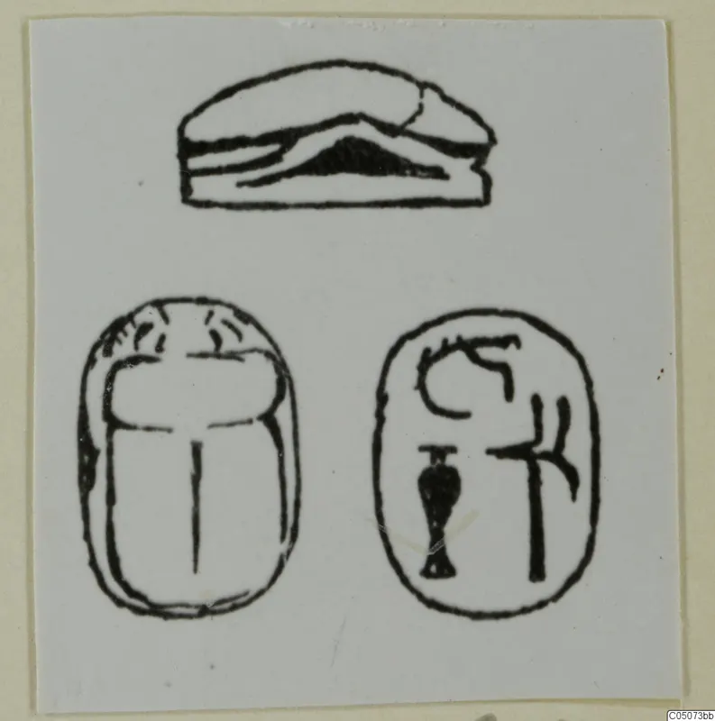 Line drawing of a scarab seal, an oval seal face with incised signs, and a side view of a seal