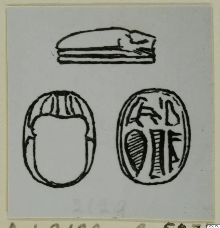Ink drawing of a scarab seal in three views, with engraved signs on its flat base; Ayia Irini