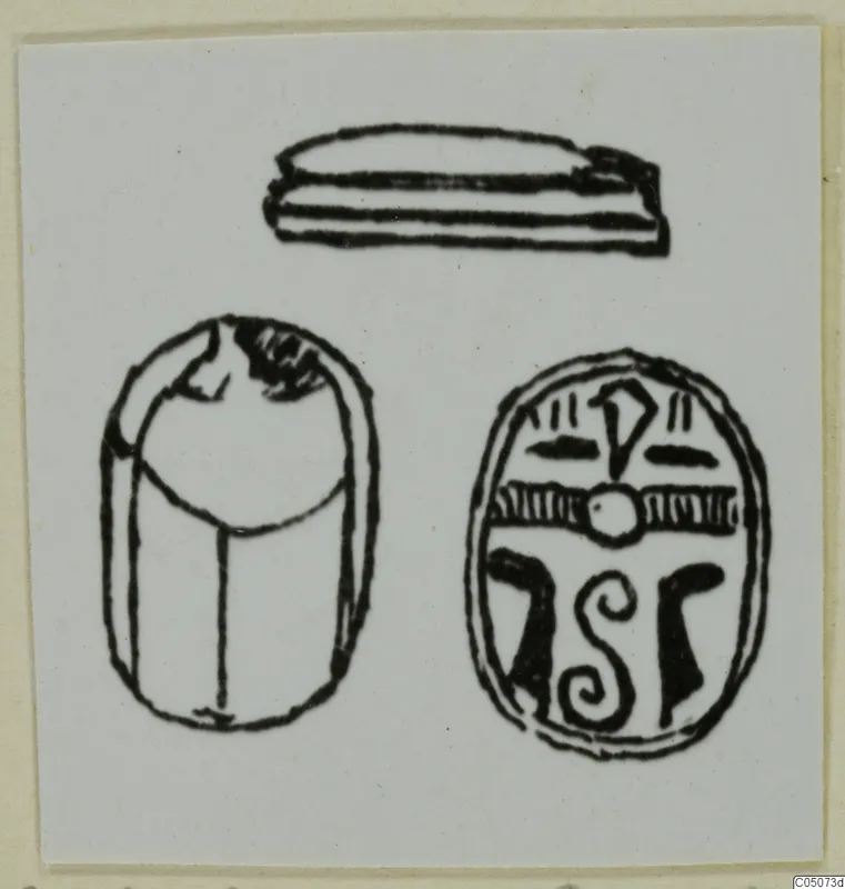 Drawing of a scarab seal in three views: flat base, domed back, and incised base design