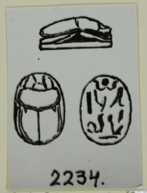 Drawing of a scarab seal in three views, with linear marks on its flat base