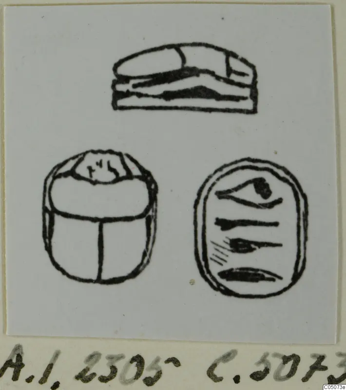 Black line drawing of a scarab from three views: side profile, back of the beetle and the engraved flat base.