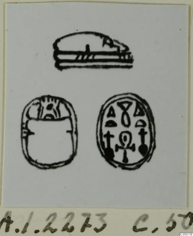 Drawing of a scarab seal in three views: side profile, back and engraved base with signs.