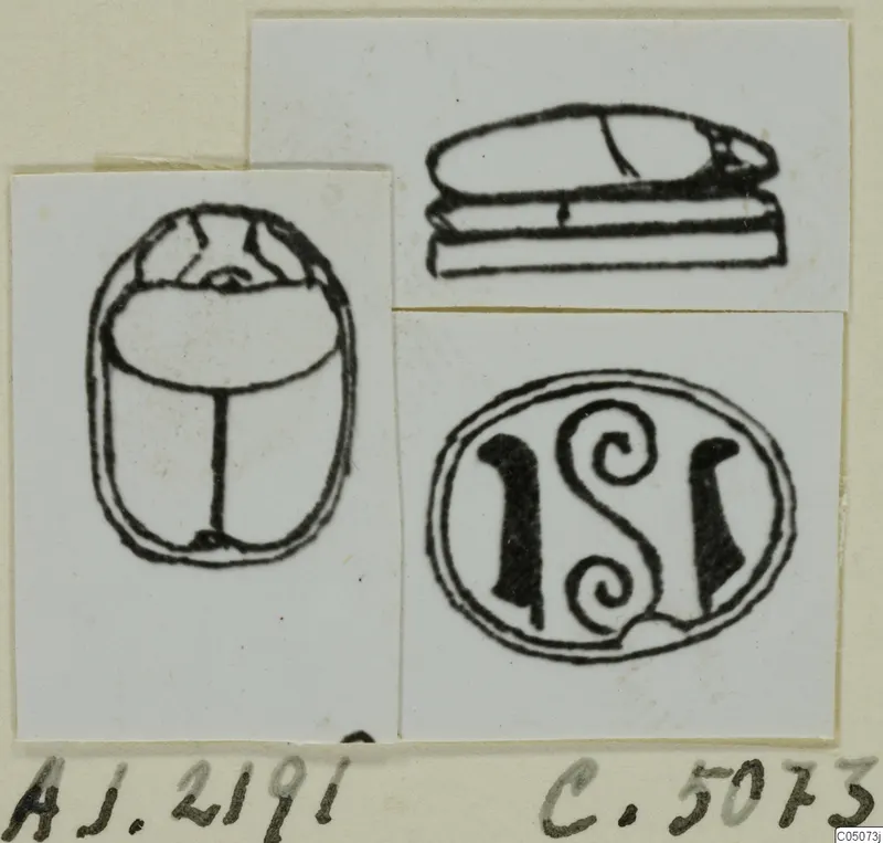 Black-line drawings of a scarab seal in three views: the back, a side profile, and the flat base with a spiral design
