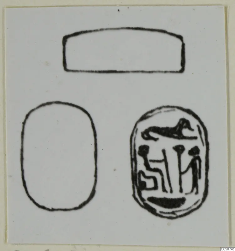 Drawing of a scarab seal in several views, with an engraved design on its oval base.