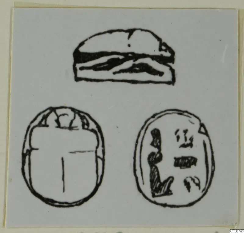 Drawing of a scarab seal in three views: side profile, back and inscribed base
