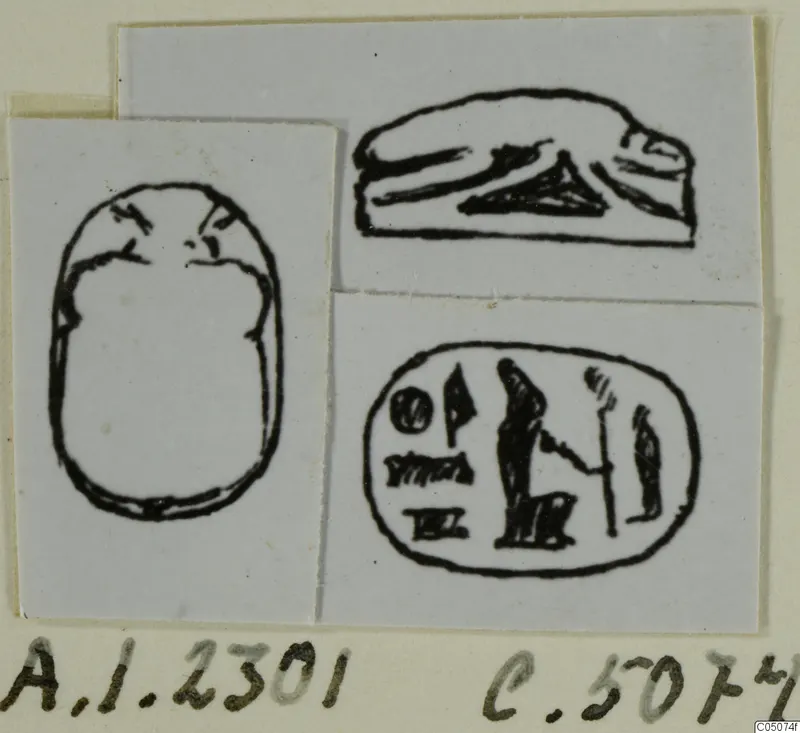 Ink drawings of a scarab seal in three views: side profile, back outline and engraved base