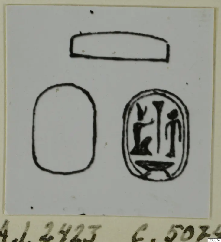 Ink drawing of three glyptic outlines, one a scarab-shaped oval with an engraved design of figures and signs