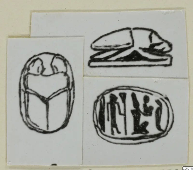 Drawings of a scarab seen from above and from the side, and an oval seal face with engraved figures