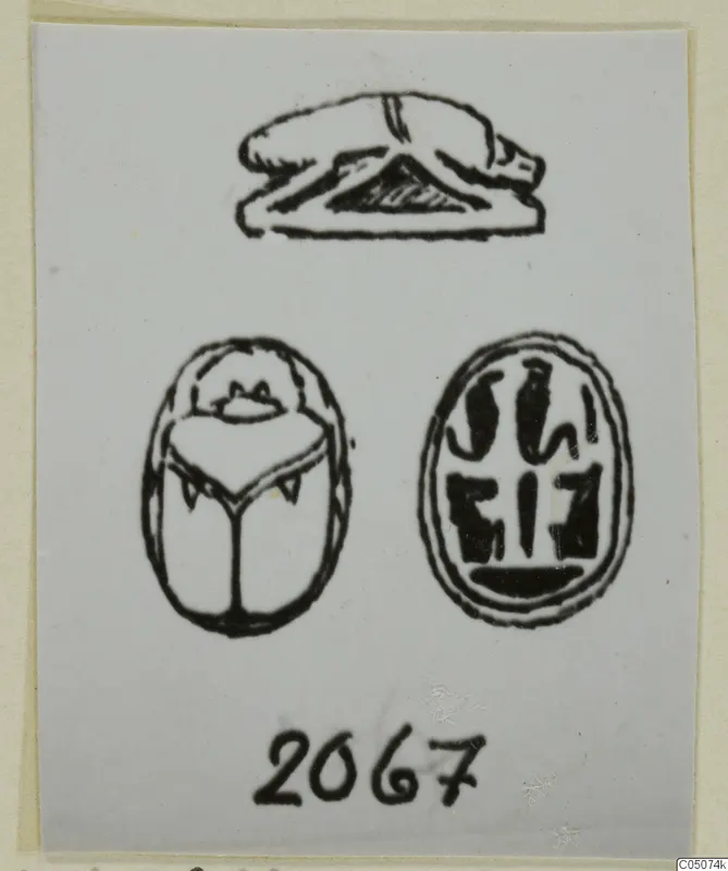 Drawing of three seal objects: a recumbent animal, a scarab seen from below, and an oval seal face with signs