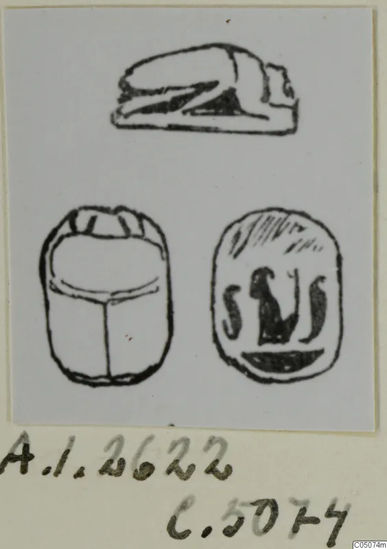 Drawings of a scarab and a seal base with a crouching animal, from Ayia Irini