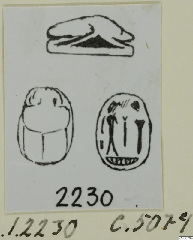 Drawing of three seal-stones, including two scarabs with signs on the base, from Ayia Irini