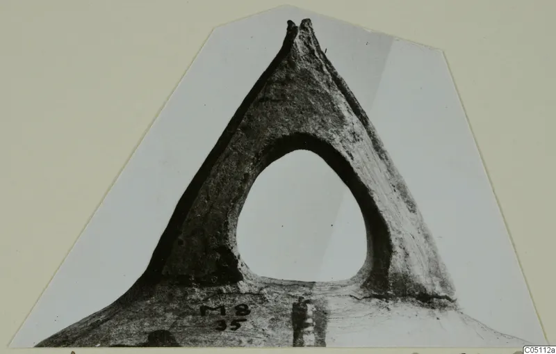 Pottery handle fragment, White Slip Ware, with a wide oval opening and a handwritten number label on its base