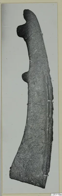 Curved iron tool with two knob-like projections on one edge, photographed against a pale background