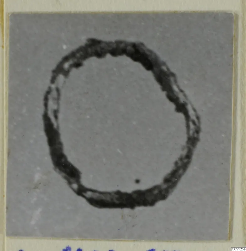 Bronze loop, a dark ring-shaped metal object, photographed on a grey card.