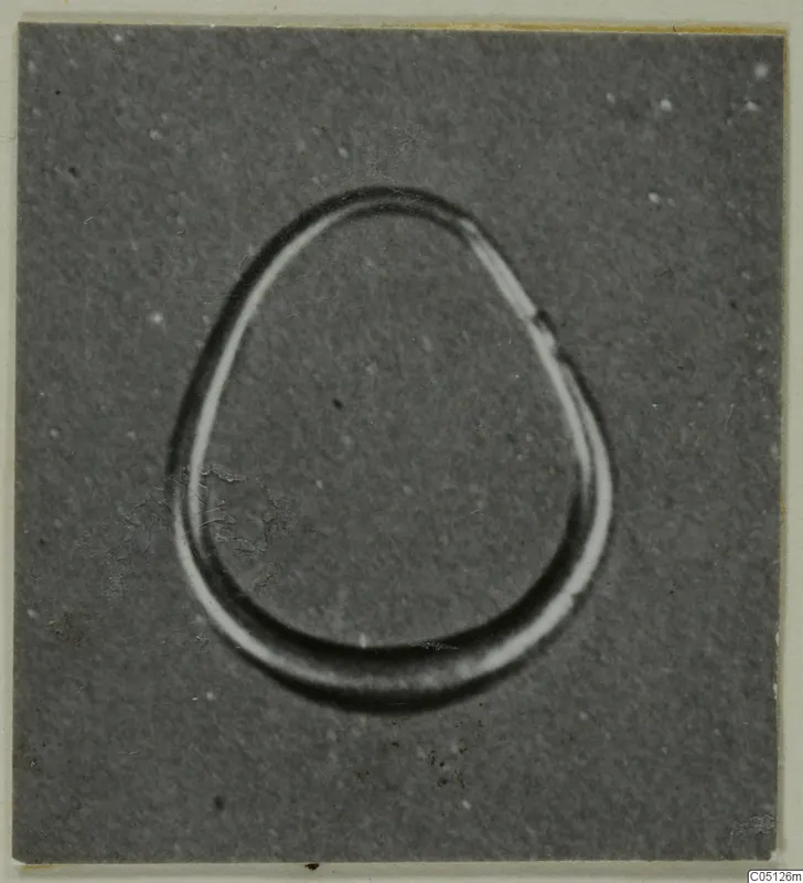 Teardrop-shaped gold loop, a find from the Kastros tombs at Lapithos, photographed on a grey ground