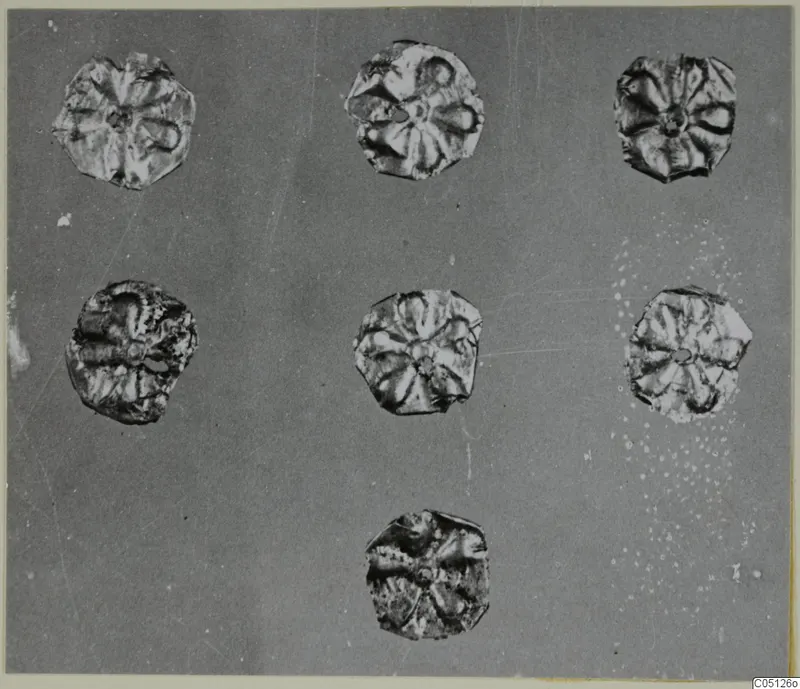 Seven gold disc-shaped jewellery pieces with raised petal-like patterns, laid out on a dark background, from the Lapithos Kastros tombs