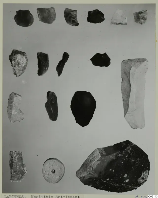 Stone tools and flakes arranged in rows on a plain grey background, with a round perforated disc near the bottom.