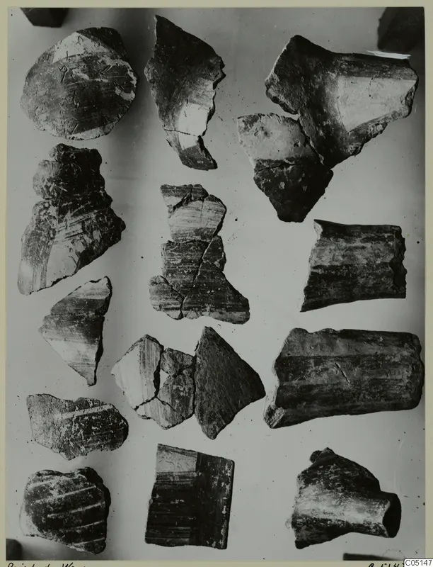 Stone Age Pottery, Painted Ware: several dark pottery sherds laid out on a pale background
