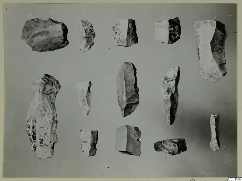 Thirteen flint flakes and blade-like pieces from Petra tou Limniti, laid out in rows on a grey background.