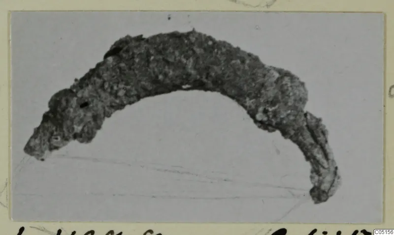 Corroded bronze fibula, its curved bow with a flattened foot, photographed on a mounted card.