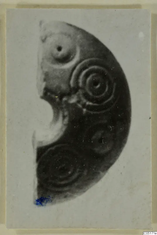 Curved bone fragment decorated with concentric ring patterns and small central dots