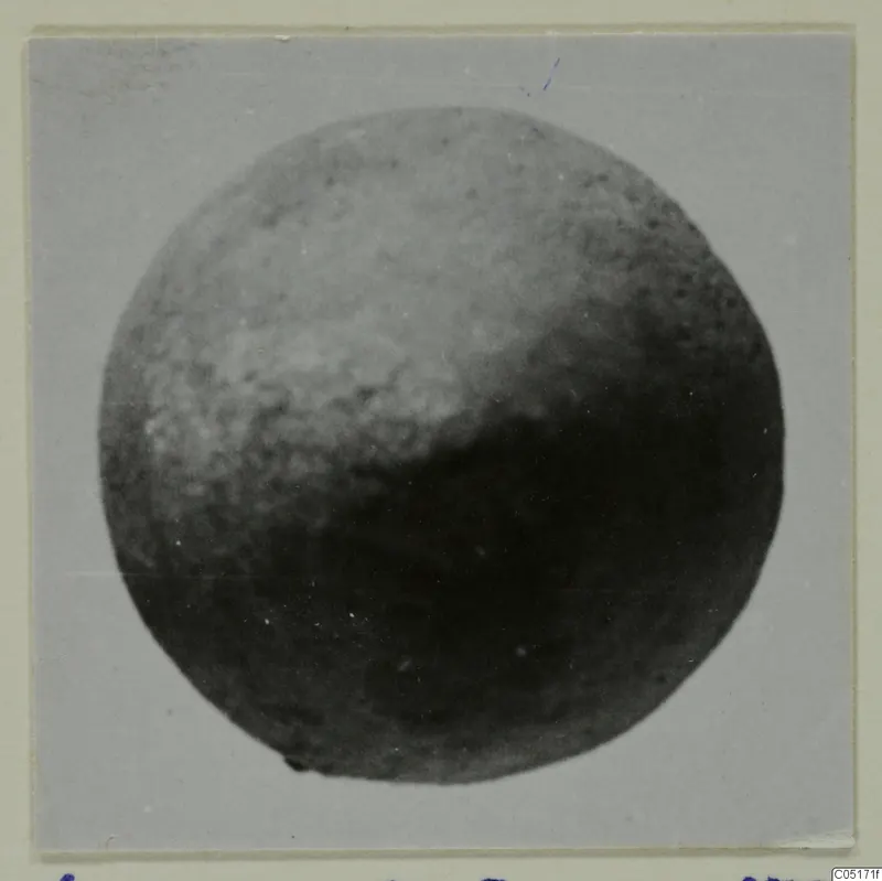 Round terracotta object seen as a shaded sphere with a pitted, grainy surface.