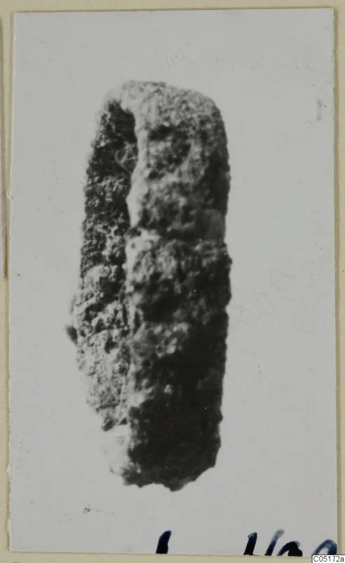 Corroded bronze object, elongated with a split down one side, shown upright on a pale background