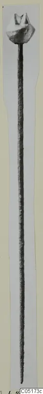Long bronze pin with a corroded rounded head, photographed upright on a pale card mount