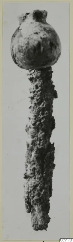 Heavily corroded iron object with a rounded head and a long, pitted shaft, photographed upright.
