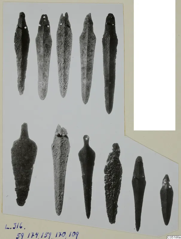Eleven bronze tools arranged in two rows, long and pointed, some with rivet holes at the upper end, on a card mount