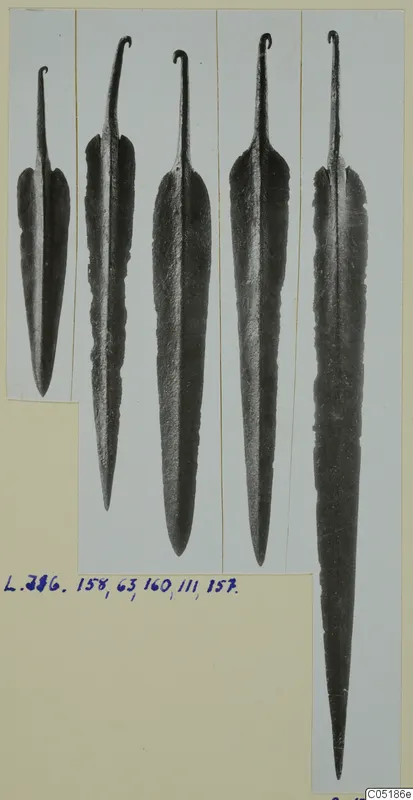 Five metal blades with curled tangs laid side by side on a mounted card, with a handwritten number label below
