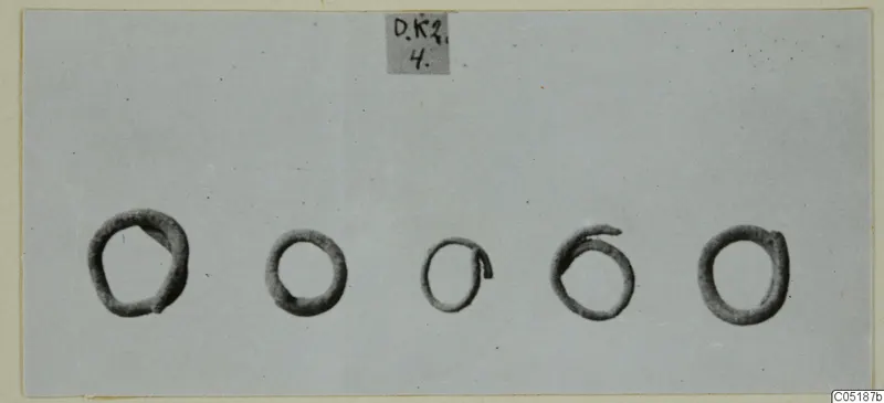 Five dark ring-shaped objects in a row on a grey card, from Lapithos Tomb 316