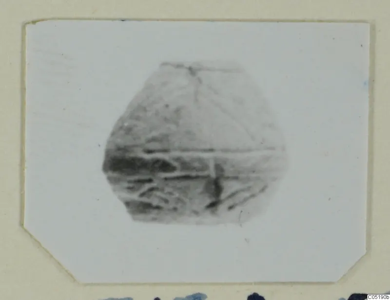 Small rounded grey object with dark incised lines, from Lapithos Tomb 313 A, shown on a card mount