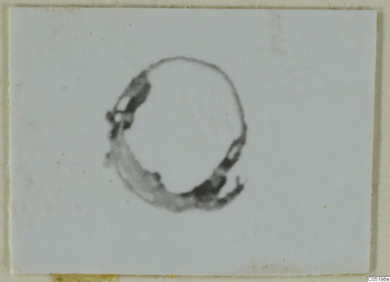 Ring-shaped metal object from Lapithos Tomb 313 B, photographed on a white card