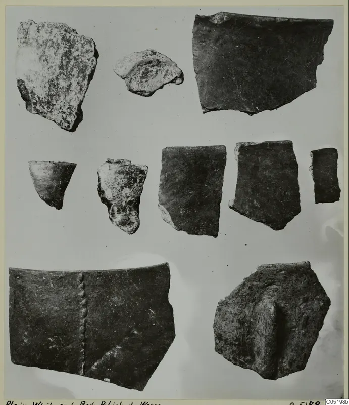 Pottery sherds, plain white and red polished wares, laid out in rows on a pale background