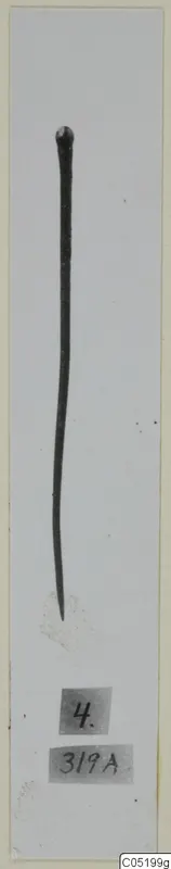 Long thin bronze pin with a knob head, from the Vrysi tou Barba tombs at Lapithos