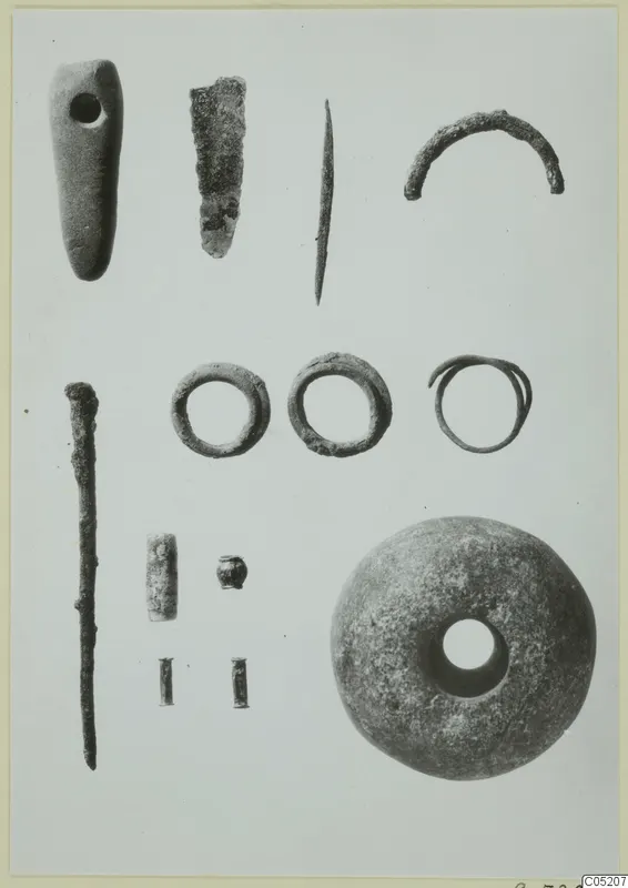 Bronze tools and small finds laid out on a pale background